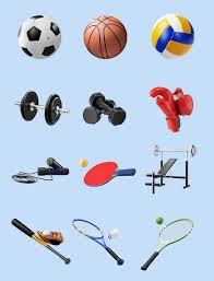 FIFA2026官方网站入口 挂篮球网的器材叫什么