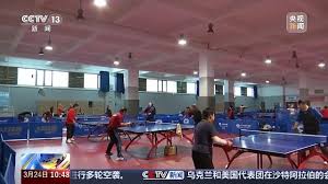 2026世界杯官网 新加坡乒乓球台颜色怎么选
